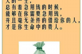 平湖遇到恶意拖欠？专业追讨公司帮您解决烦恼